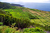 Azzorre, Isola Terceira - Escursione Mata da Serreta.  